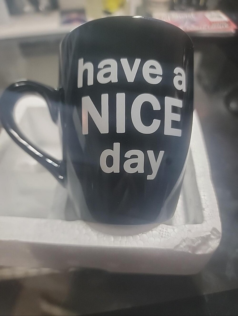 Have a Nice Day Middle Finger Novelty Coffee Mug Black
